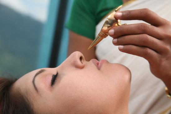 Nasyam (Nasal Therapy)